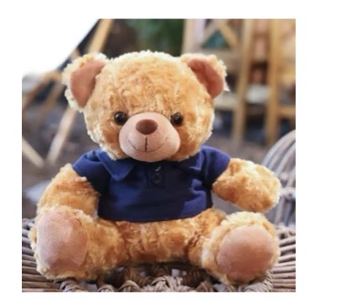 PATH Exclusive Bear (Blue Shirt)